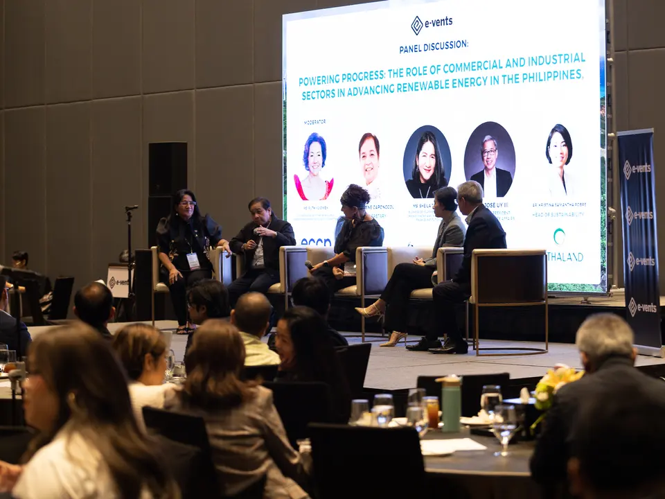 Experts discussing renewable energy policy during a panel session